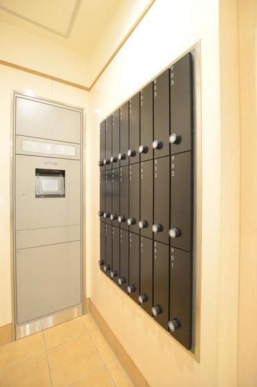 ��z�{�b�N�X�t��