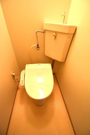 �y�g�C���z�@