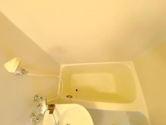 �y�o�X�z�@