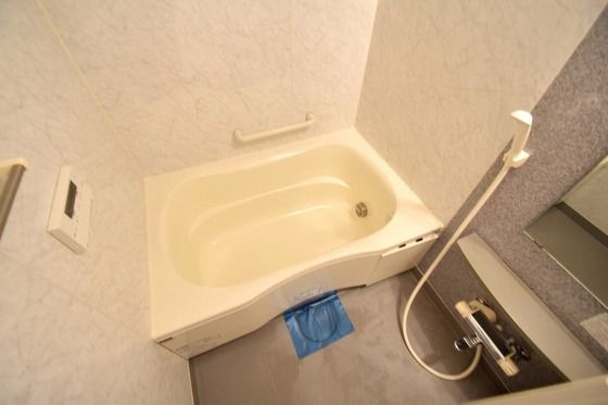 �y�o�X�z�@