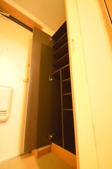 �y���[�z�@��e�ʃV���[�Y�{�b�N�X�B