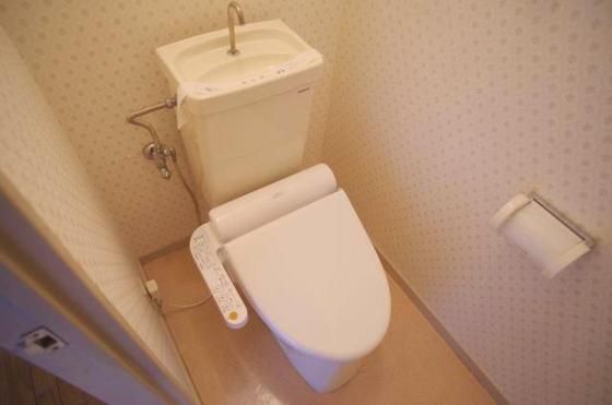 �y�g�C���z�@