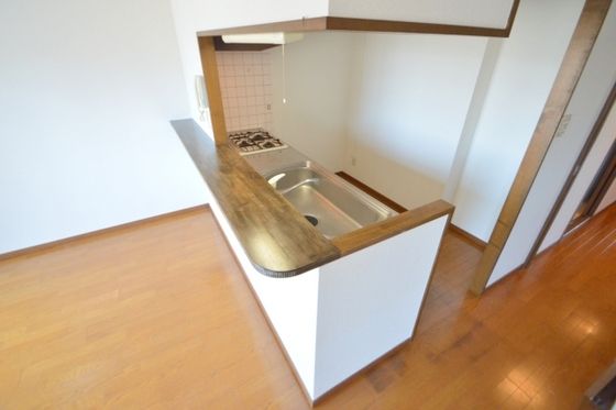 �y�L�b�`���z�@����̃J�E���^�[�L�b�`���^�C�v��