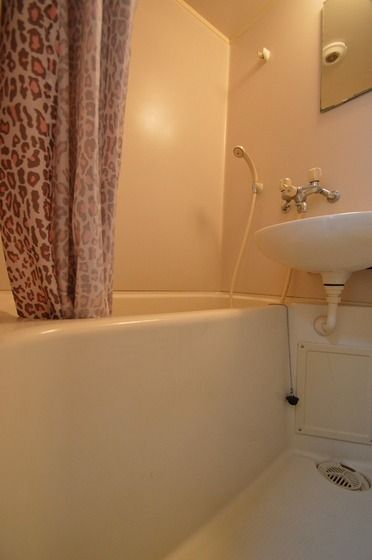 �y�o�X�z�@