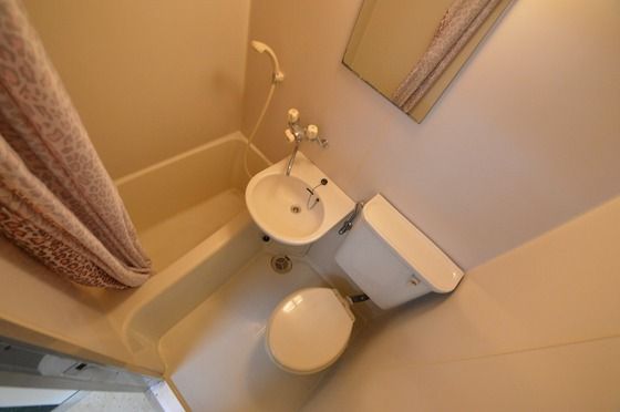 �y�o�X�z�@