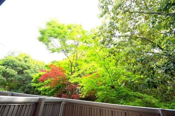 �y���]�z�@