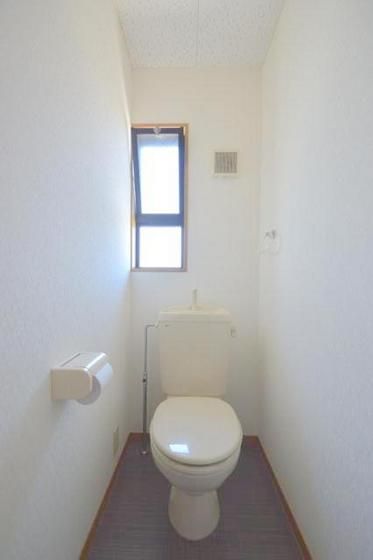 �y�g�C���z�@