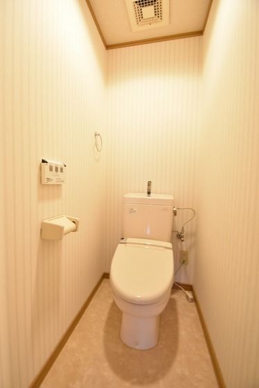 �y�g�C���z�@