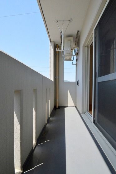 �y�o���R�j�[�z�@�z������ǍD��