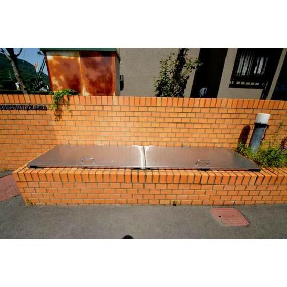 �S�~�u����