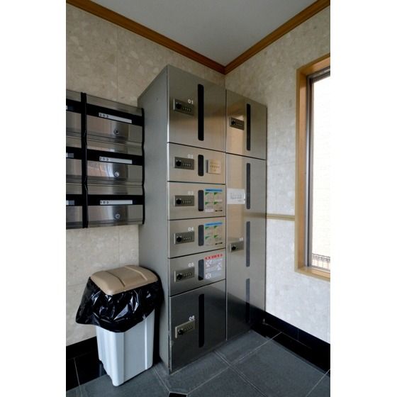 ��z�{�b�N�X