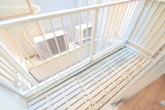 �y�o���R�j�[�z�@�o���R�j�[