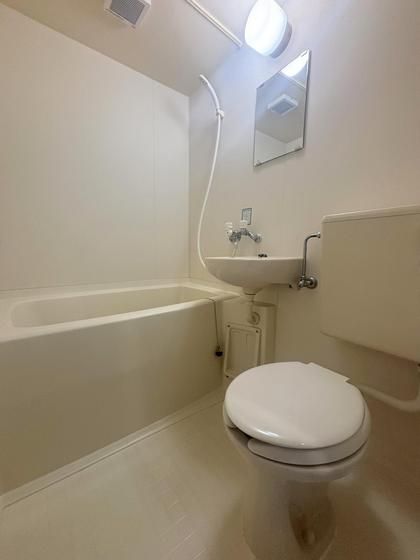 �y�g�C���z�@