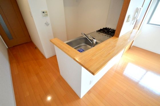 �y�L�b�`���z�@�I�V�����ȃJ�E���^�[�L�b�`��