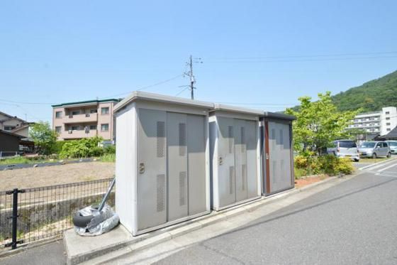 �S�~�u����