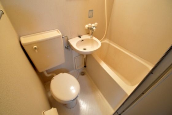 �y�g�C���z�@