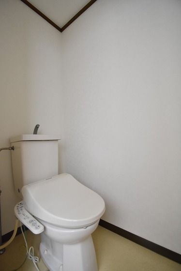 �y�g�C���z�@