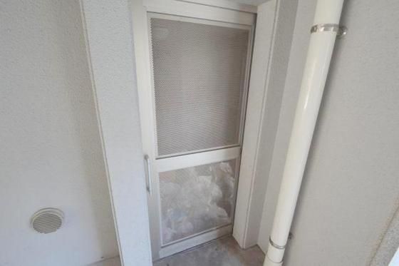 �S�~�u����