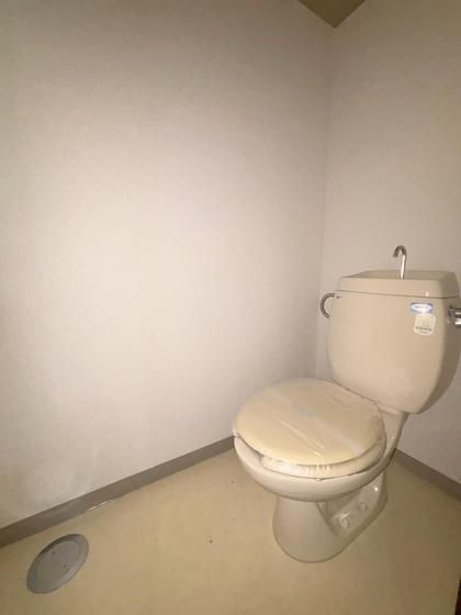 �y�g�C���z�@