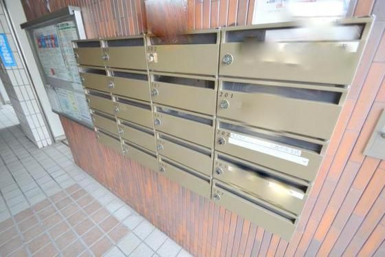 �W���|�X�g