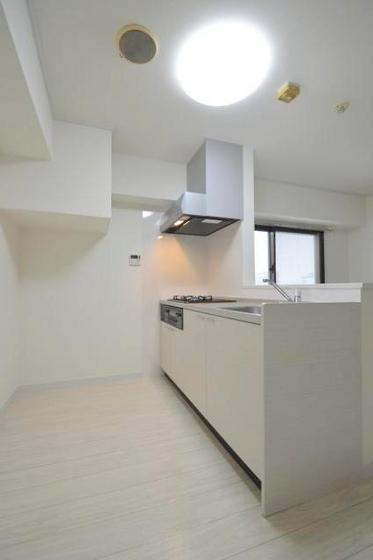 �y���̑������E�X�y�[�X�z�@�l�C�̃J�E���^�[�L�b�`���^�C�v��