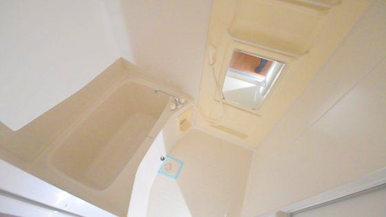 �y�o�X�z�@