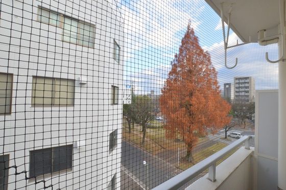 �y���]�z�@