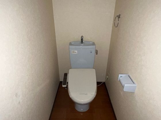 �y�g�C���z�@