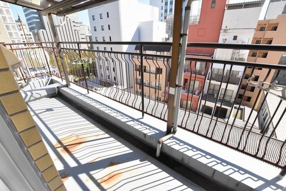 �y�o���R�j�[�z�@