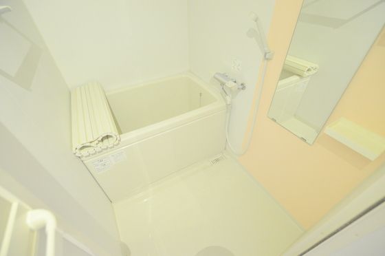 �y�o�X�z�@�A�N�Z���g�J���[���������ȉ��������C�I