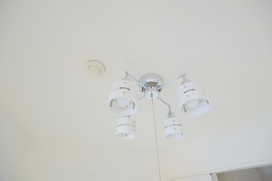 �y���̑��ݔ��z�@�������ȏƖ����t���Ă܂��_(^o^)�^