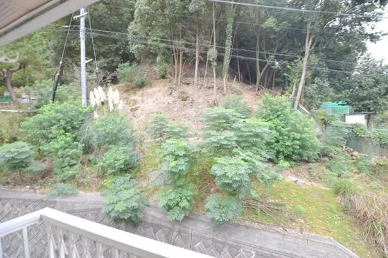 �y���̑��z�@