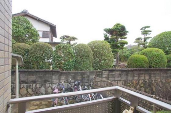 �y���]�z�@