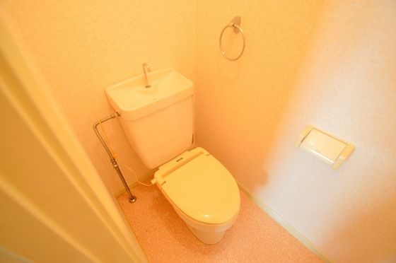 �y�g�C���z�@