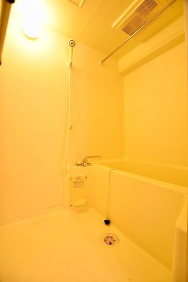 �y�o�X�z�@