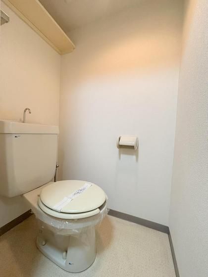 �y�g�C���z�@