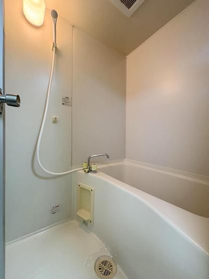 �y�o�X�z�@