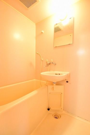 �y�o�X�z�@