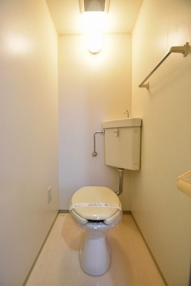 �y�g�C���z�@