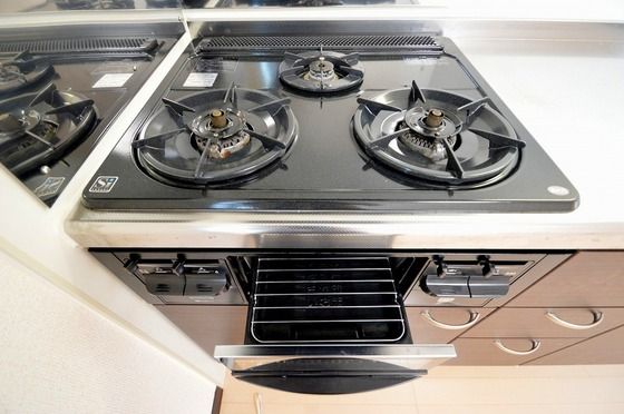 �y���̑��ݔ��z�@�R���K�X�R�����A�O�����t��