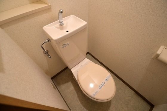 �y�g�C���z�@