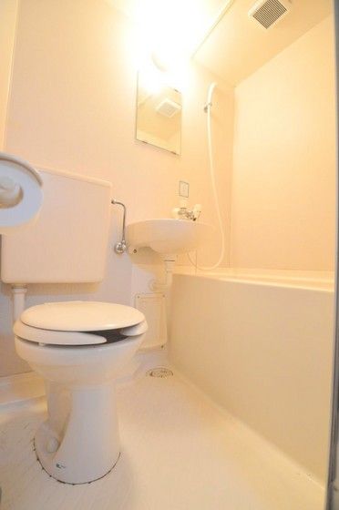 �y�g�C���z�@