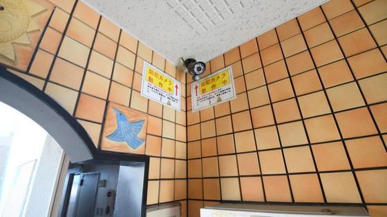 �h�ƃJ����