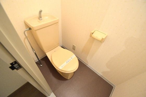 �y�g�C���z�@�������o�X�g�C���ʁI�I�I