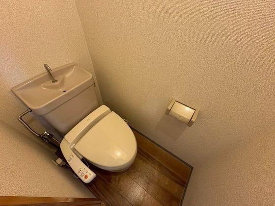 �y�g�C���z�@