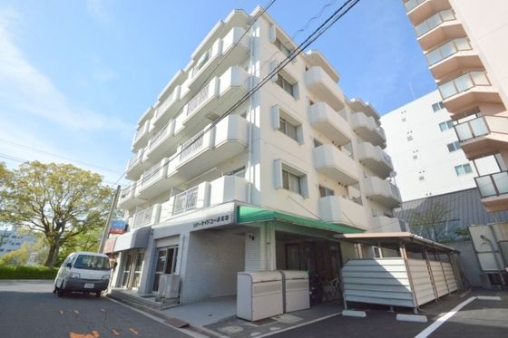 �y�����O�ρz�@�l�C�̃��o�[�T�C�h�}���V����(^^)��