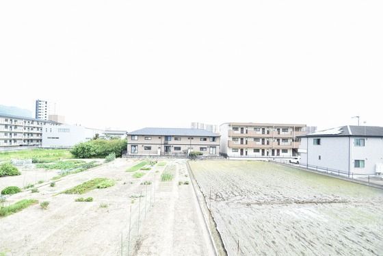 �y���]�z�@