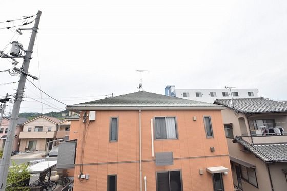 �y���]�z�@