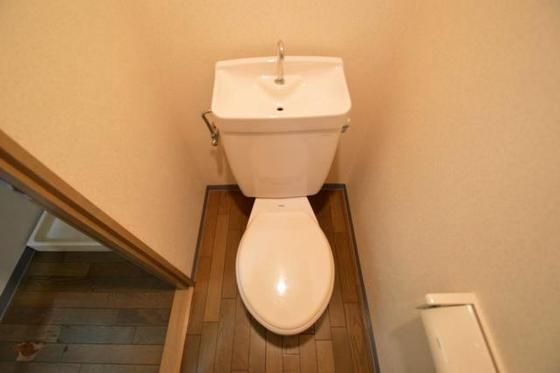 �y���̑��z�@