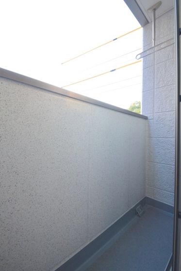 �y�o���R�j�[�z�@�o���R�j�[